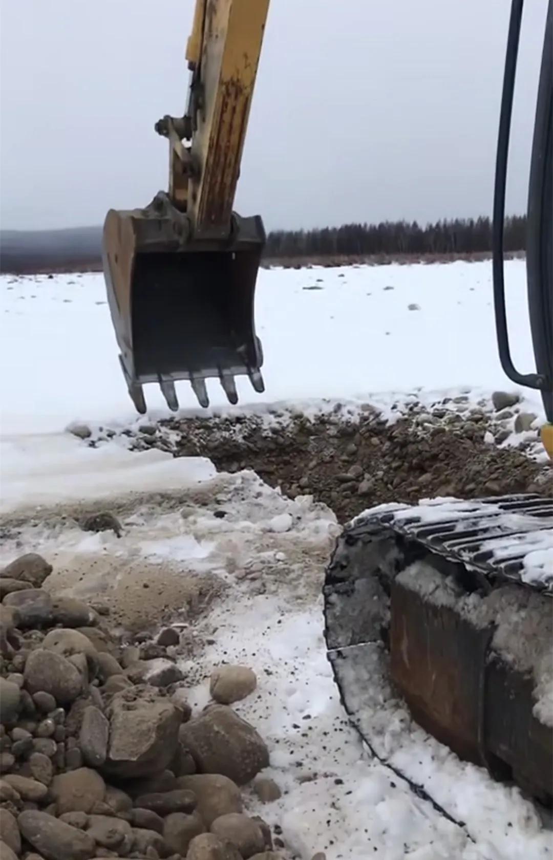 籽料伪装者视频 (俄料仿籽和田籽料的区别)