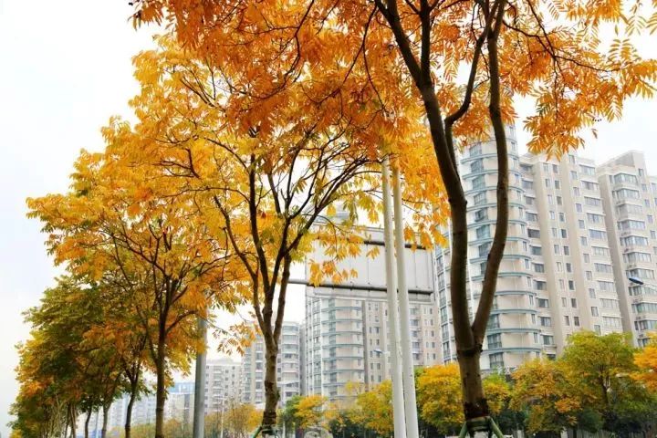 家在北仑,我有一个家北仑