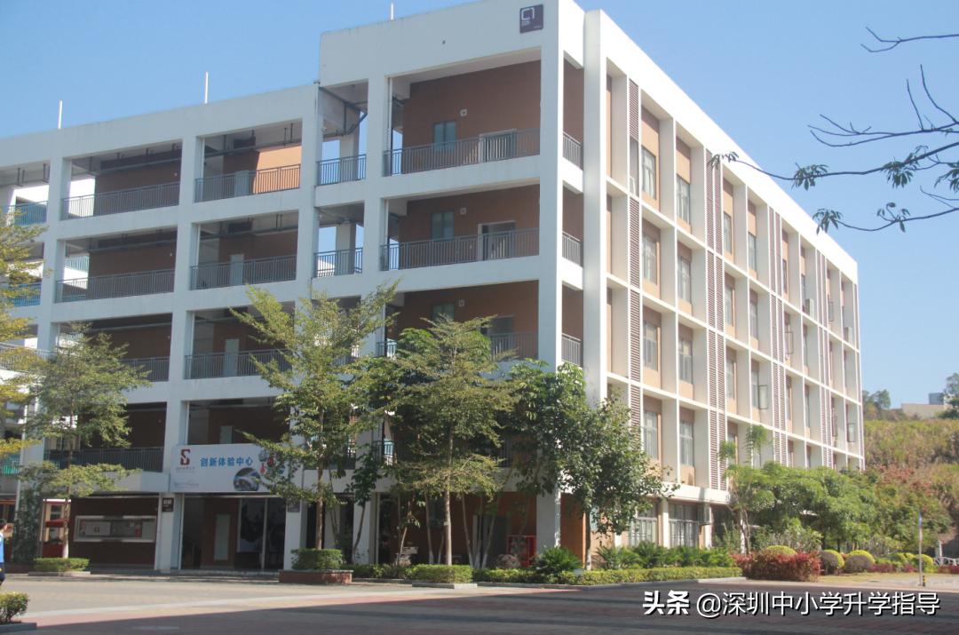 广东2021高考445分,2021年广东高考理科412分专科批