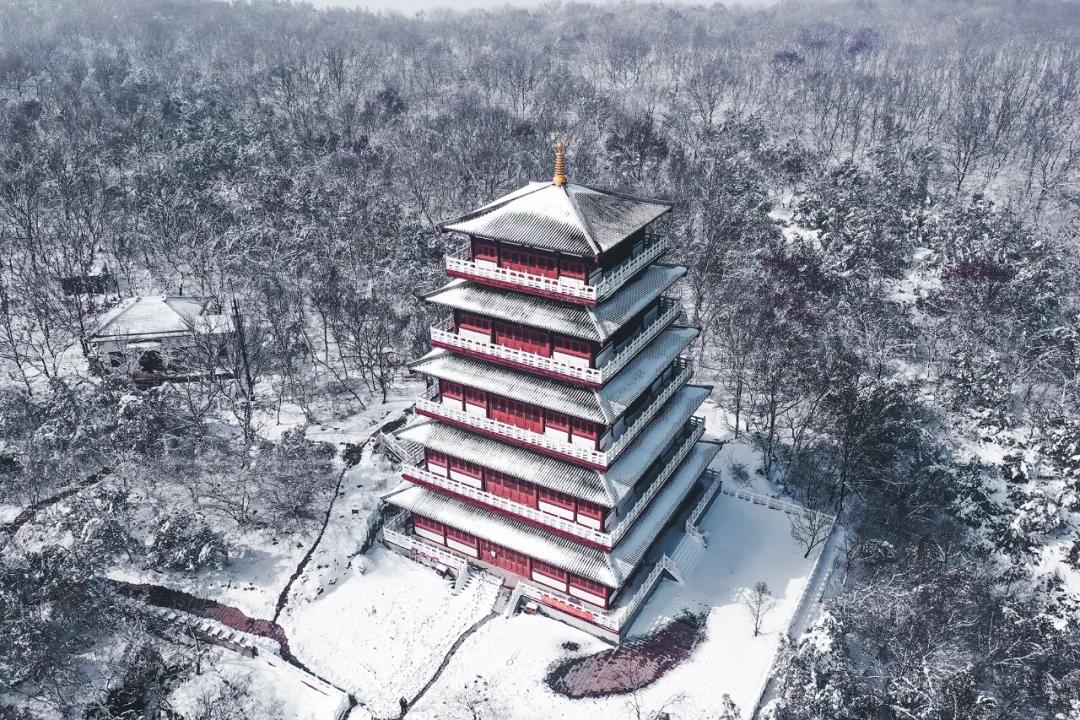 安徽人当兵猛不猛,安徽人正能量