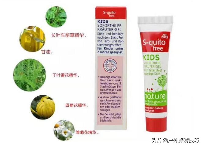 农村里常见的车前草有什么功效,这才是车前草正确用途