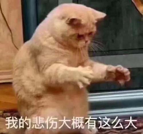 比较新的建站方式有几种,传统运营模式的优缺点