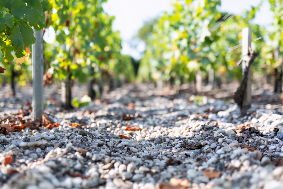 法国名庄酒分级,法国葡萄酒名庄分级