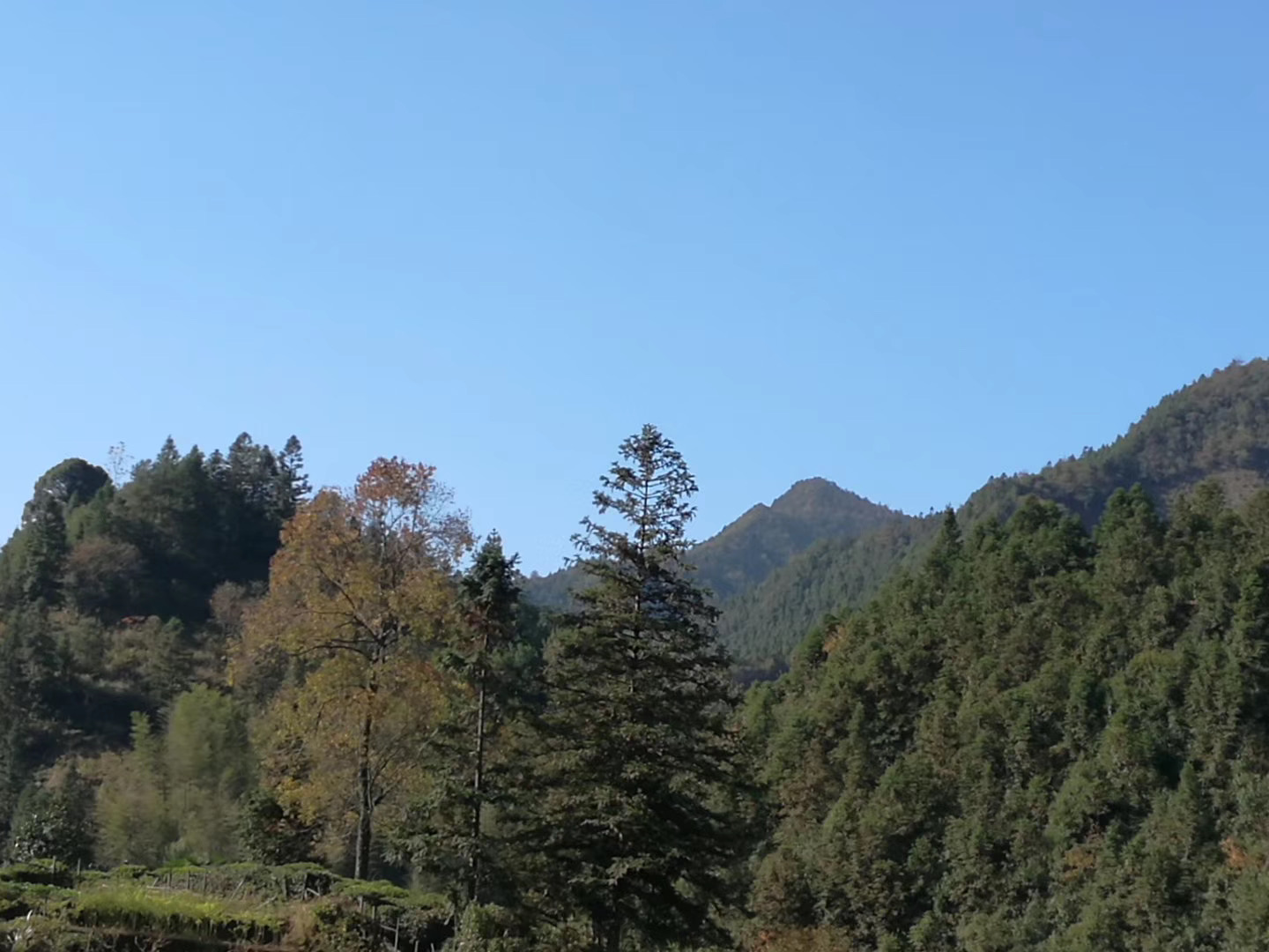 2024年驻村日记100篇简短感悟,驻村工作日记40篇200字春节前