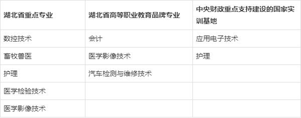 请问湖北有哪些好的职业技术学院,湖北本科职业技术学校排名