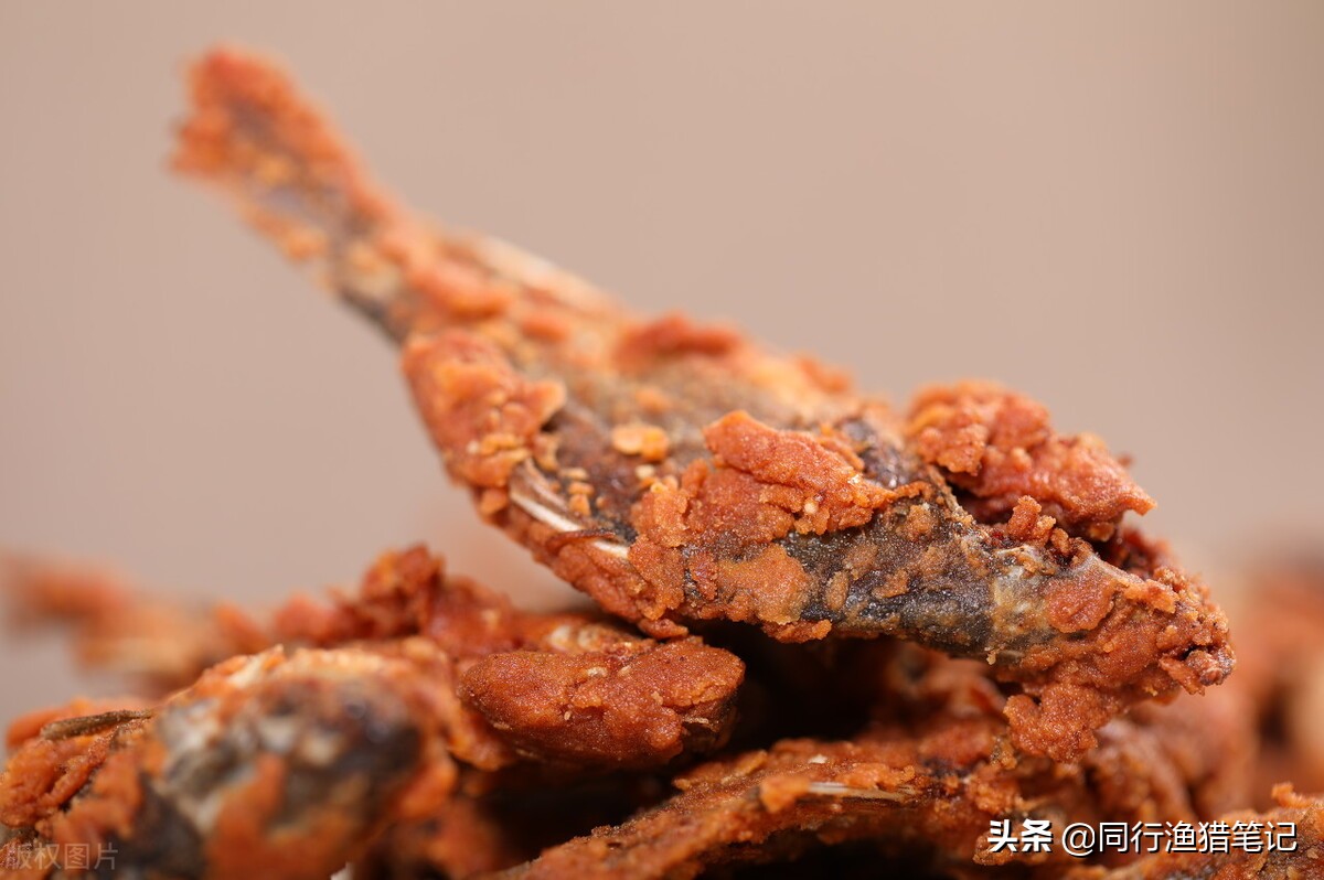 被钓鱼人嫌弃的小杂鱼，却被做成了大生意，一天小赚1500多