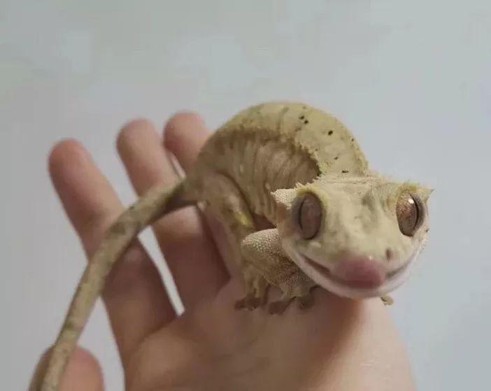 一群博士硕士，动不动“鬼混”到半夜，却干成了件人人称赞的事