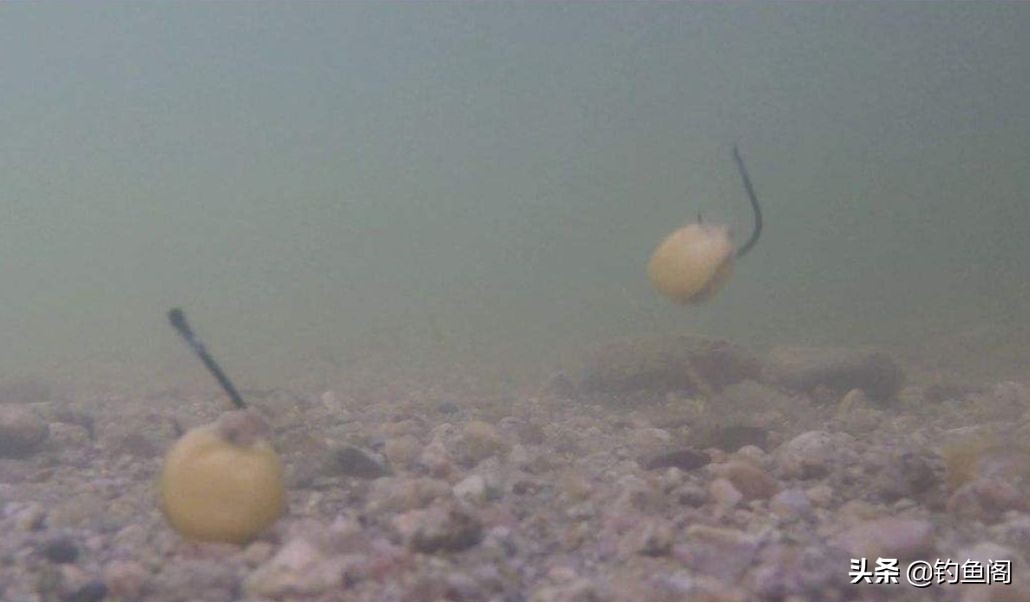 如何打窝让鱼不开口,怎么打窝能让鱼快速进窝