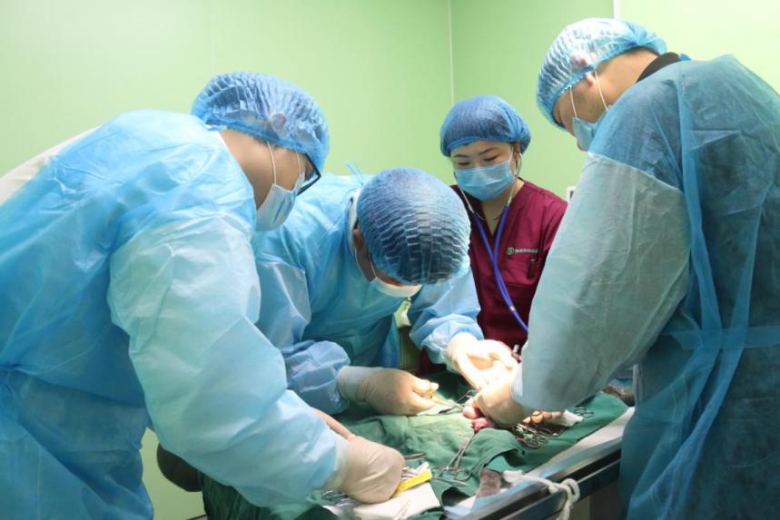 瑞派宠物医院告诉你最牛医院的正确打开方式