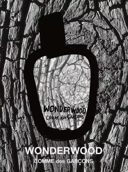 川久保玲年轻时的照片,川久保玲经典作品