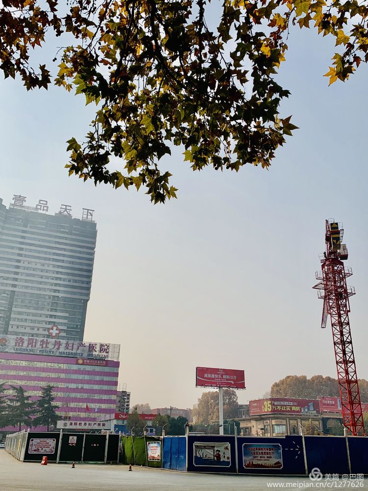 手机拍洛阳,涧西牡丹广场老照片