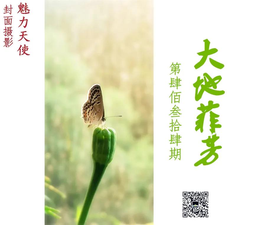 蔚蓝的天空借景抒情,蔚蓝的天空的优美比喻句子