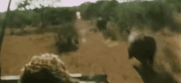 当世界剩下两只猫,当世界只剩两个人