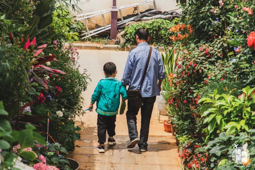 逛逛园博花鸟市场,园博花鸟市场攻略
