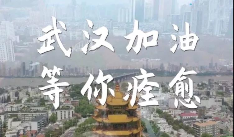 全球瘟疫死亡时间,国际瘟疫最新消息