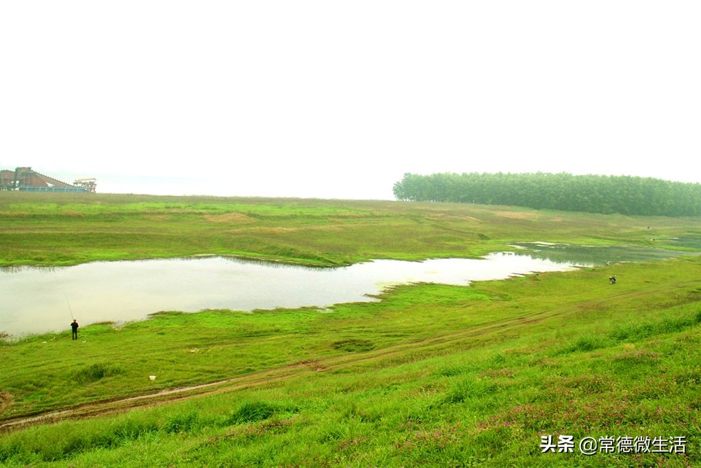 常德丹洲大草原介绍,丹洲草原风景