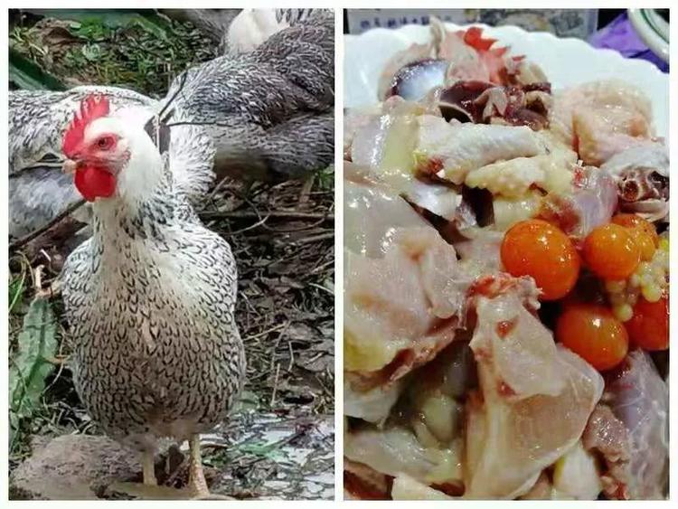 江门火锅推荐,江门哪里的火锅最好