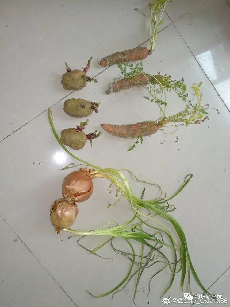 温和通胀对经济的影响,温和通胀政策调整