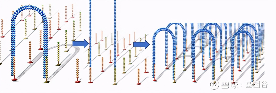 全场硬菜!分子诊断技术全解析