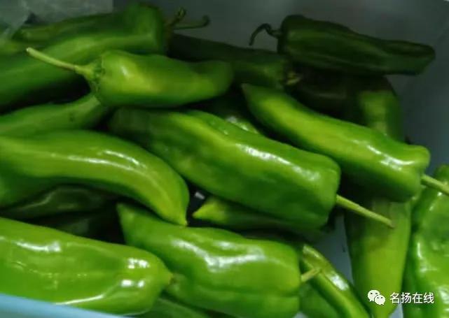 易胖之人吃此菜，比“泻药”还管用，除口臭淡雀斑，甩掉大肚腩