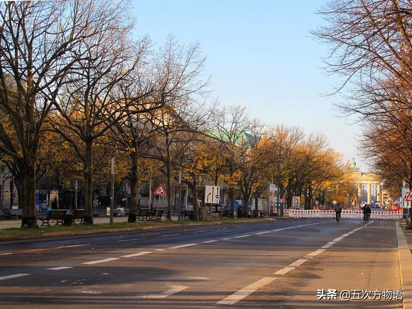 菩提树根手串怎样辨别真假,真实的菩提树