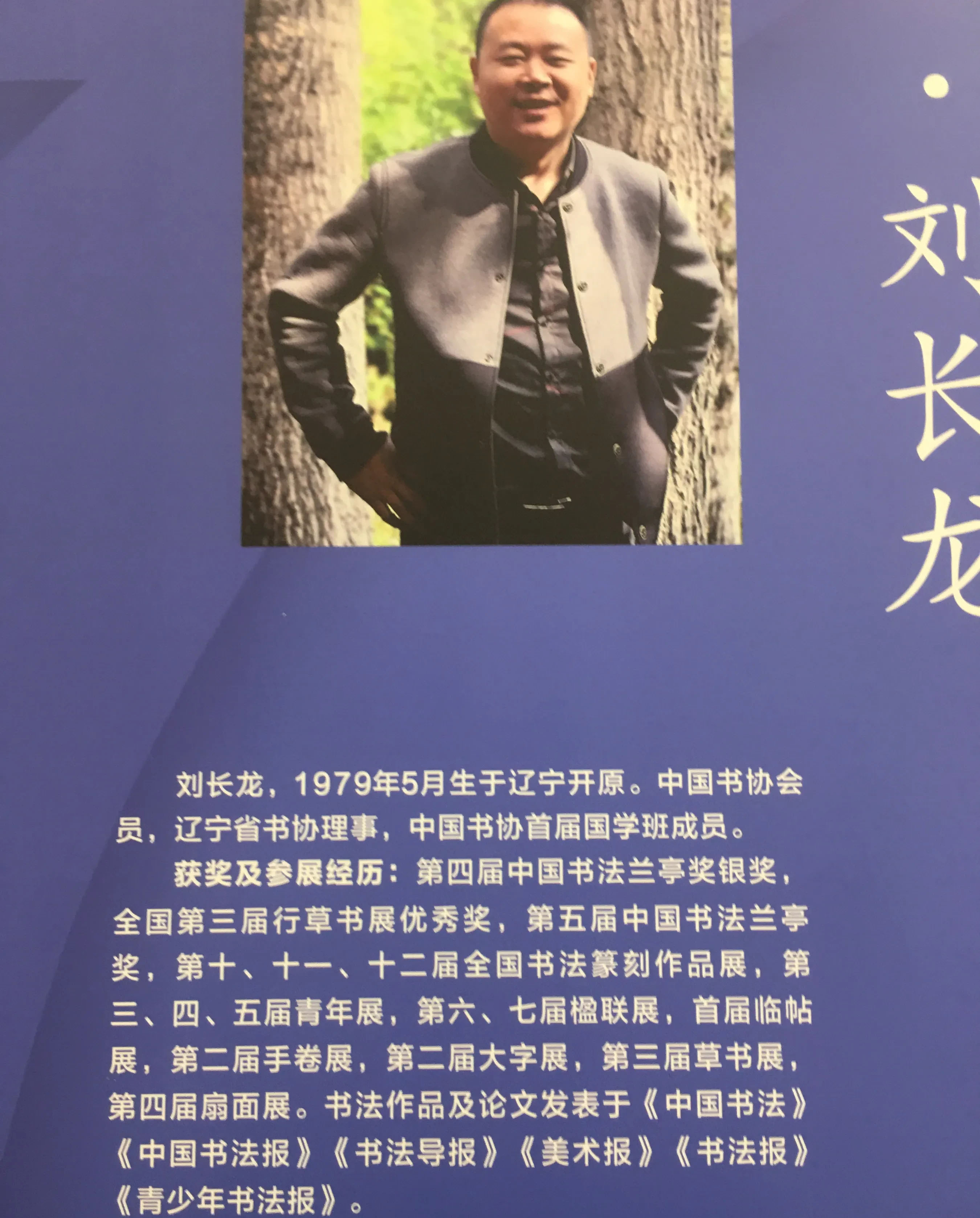 授予刘长龙中国书画终身成就奖,第七届兰亭奖刘长龙获奖作品欣赏