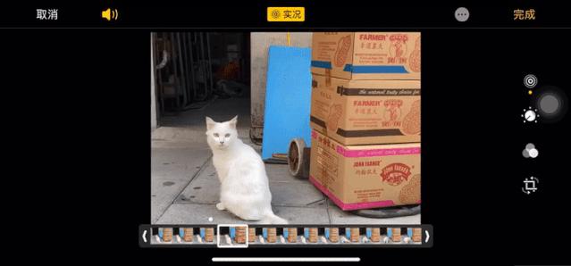 iphone拍照神器是哪一款,iphone的相机拍照的黑科技