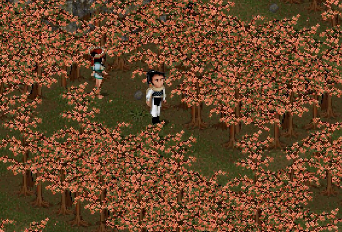 仙剑1游戏介绍,仙剑1游戏最难迷宫怎么走