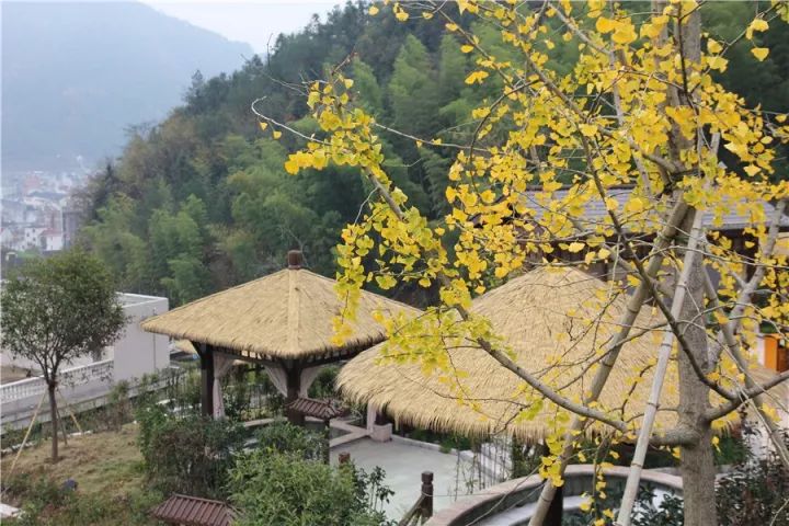 还没想好国庆去哪？自驾2.5小时，在秋日里泡温泉吃美食