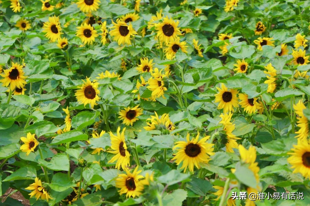 你想要的福利：快乐宝地，美丽倾心！这个便宜你占不占？