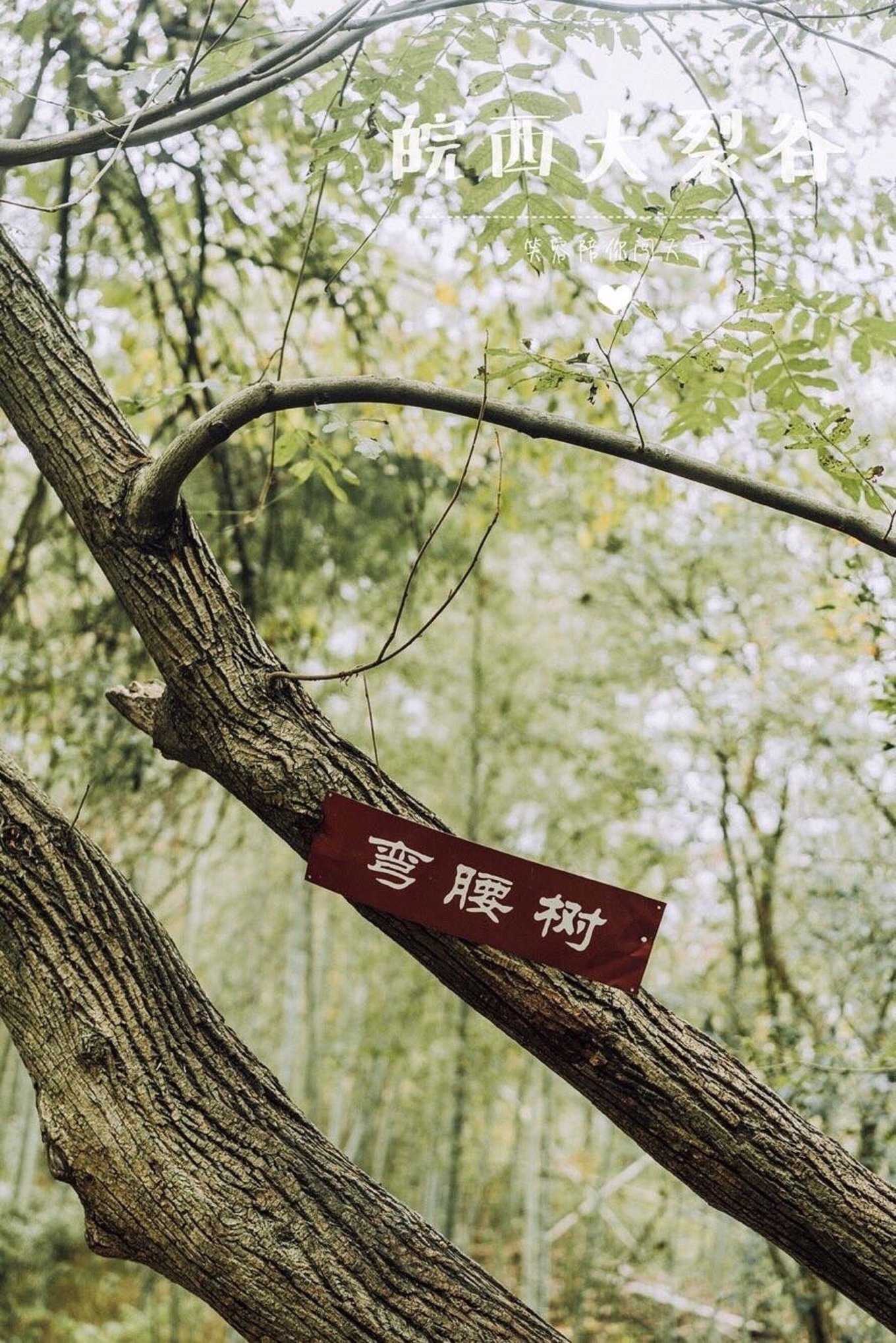 到安徽旅游景点,到安徽六安旅游