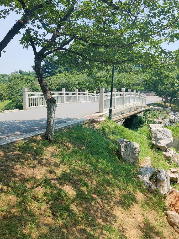 曾作为禁地，与外界隔绝二百六十多年的“玄武湖”，今日锣鼓喧天