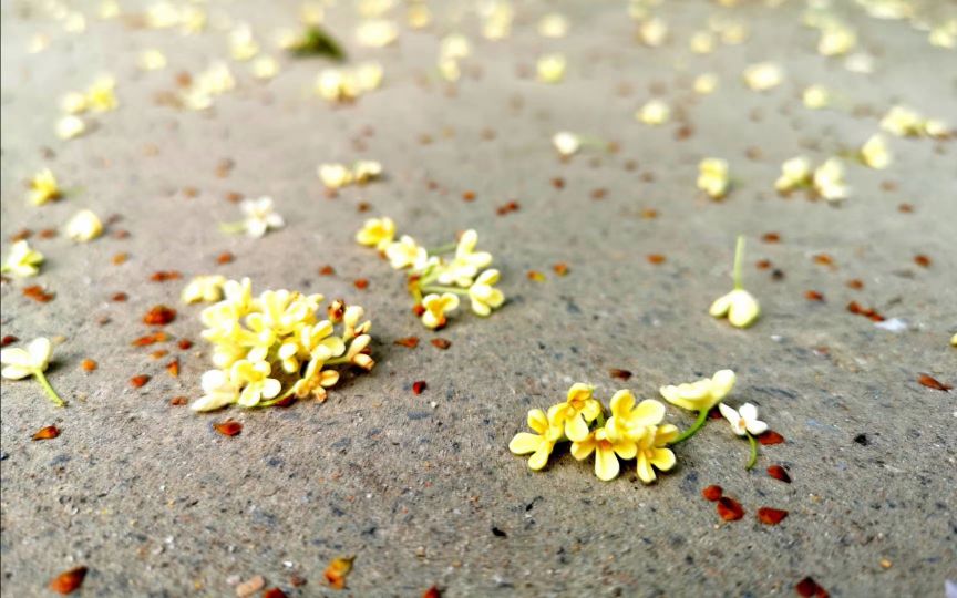 每周定投哪天定投会更好,为什么很多人都在推荐定投