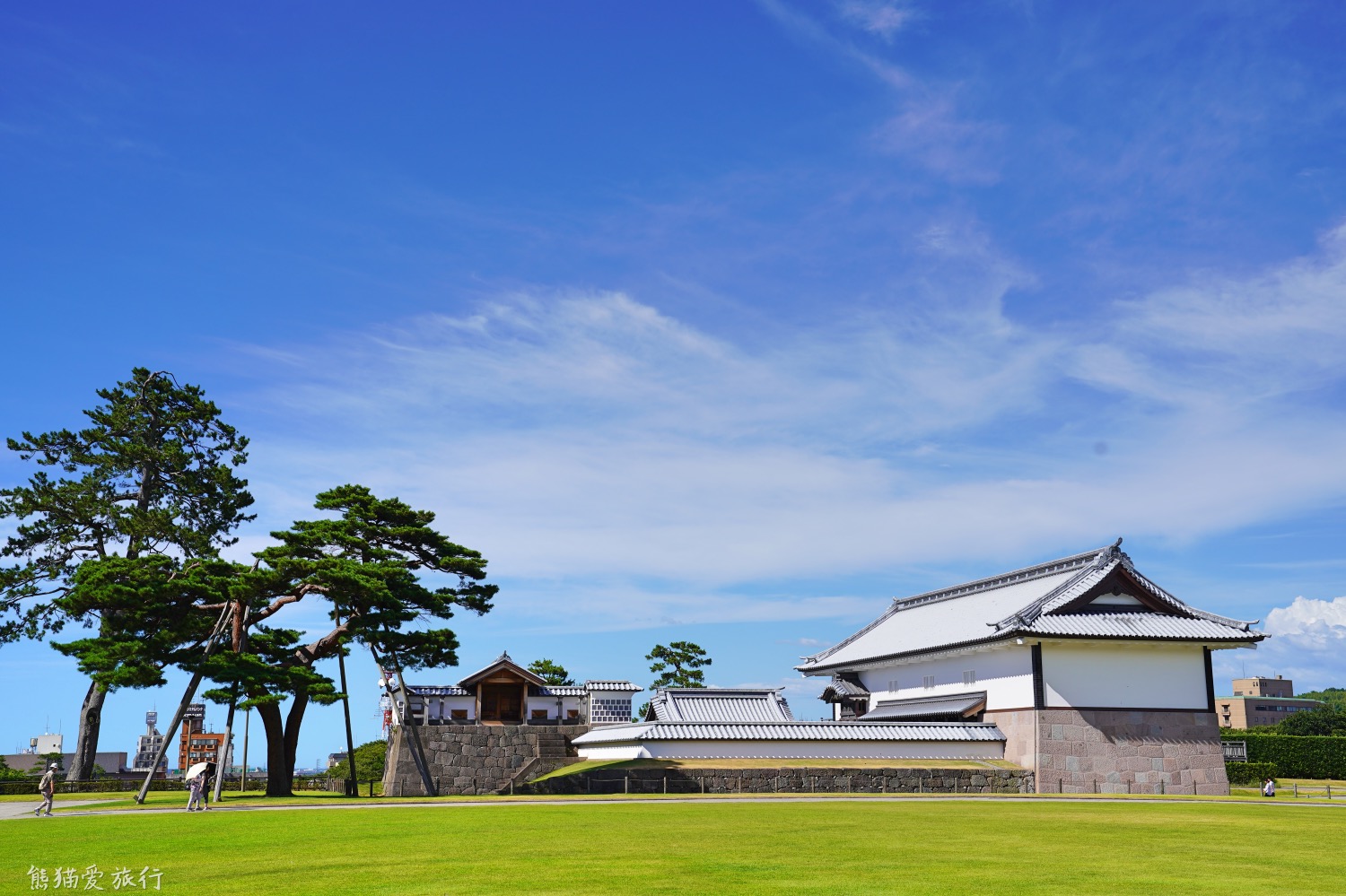 日本金箔冰淇淋金泽,日本金泽金箔雪糕