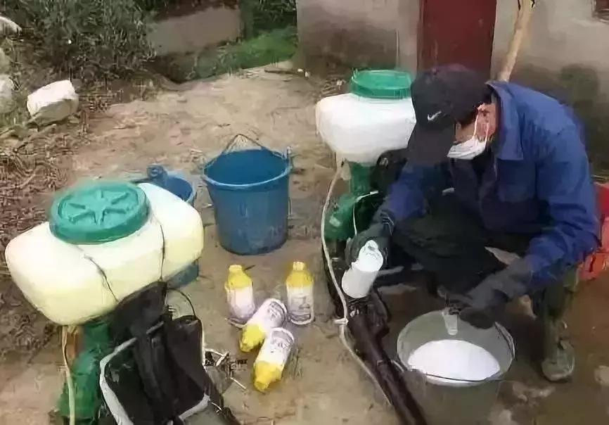 有机硅与橙皮精油,有机硅助剂和橙皮精油