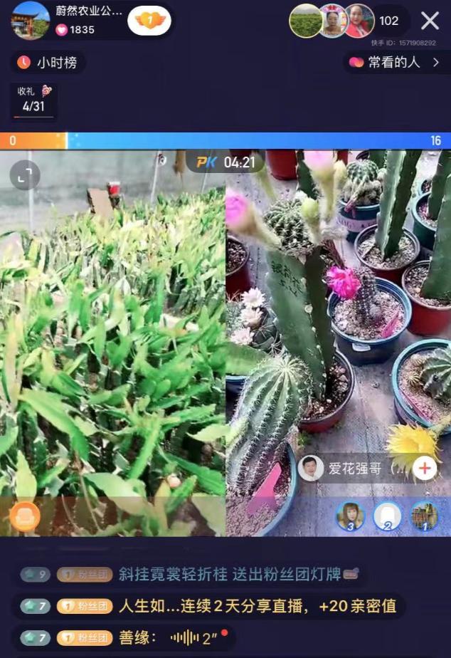 主播薇娅2019年收入,主播薇娅2019收入