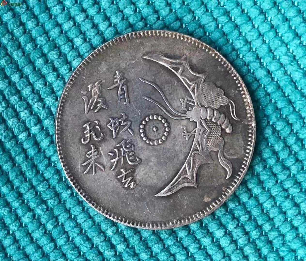 摇钱树开花了会不会烂掉,摇钱树会生钱吗