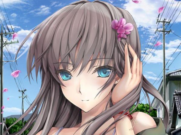 漫展如何买本子,漫展上的本子多少钱