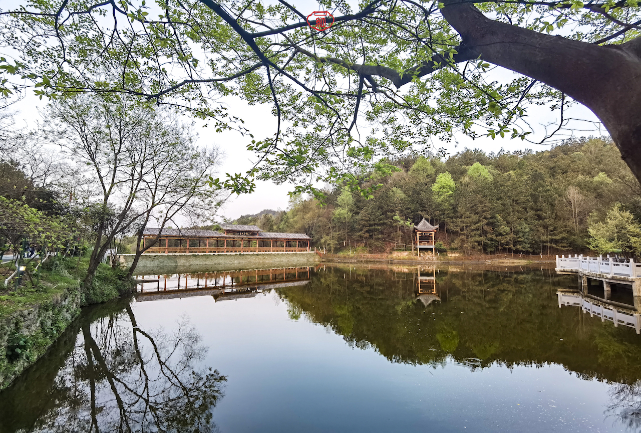 黄陂十佳农家乐,黄陂好吃的农家菜馆