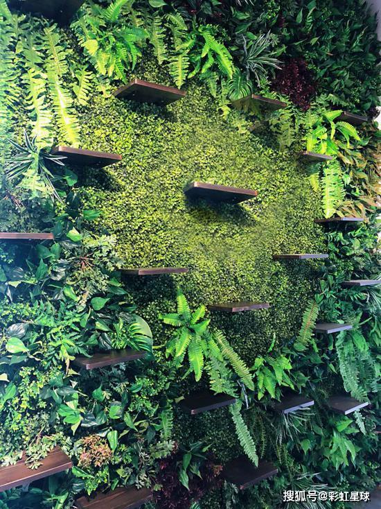 宠物殡葬的资料有哪些内容,宠物殡葬价格最新报价