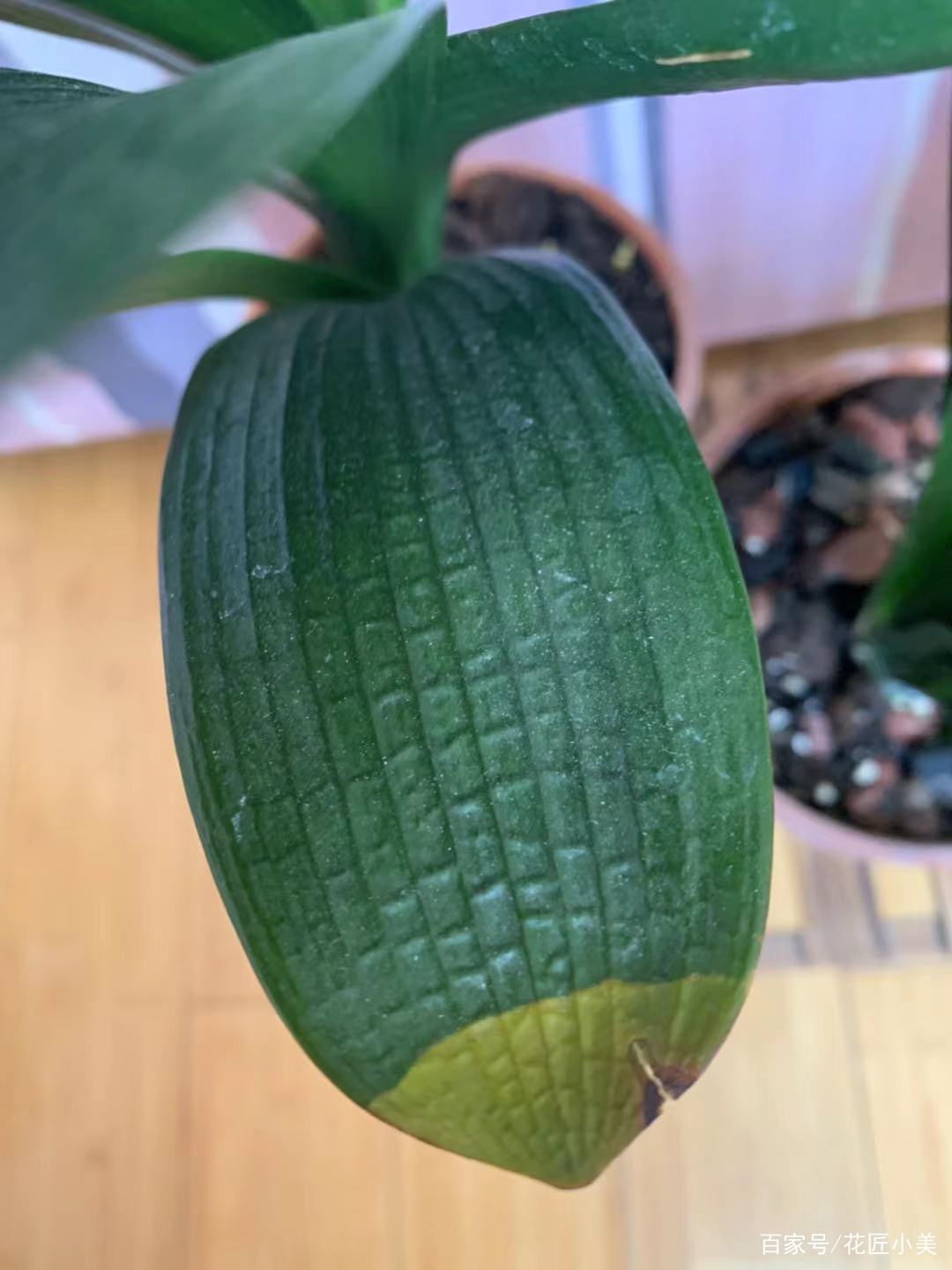 当温度过低或过高会发生什么,当温度到38度时有什么办法