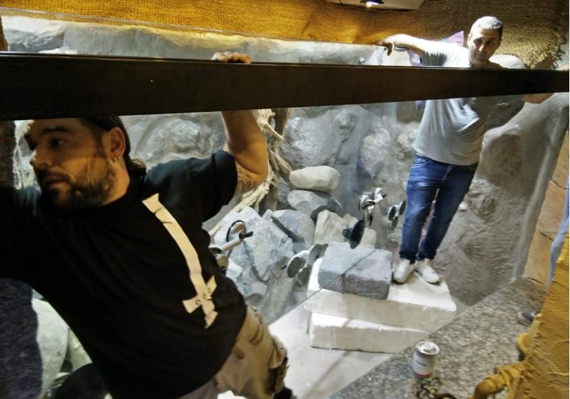 自己做大型水陆缸,在家自己打造一个沙漠缸