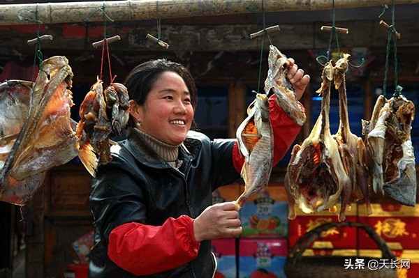 春游江淮请您来安庆,春游江淮请您来界首