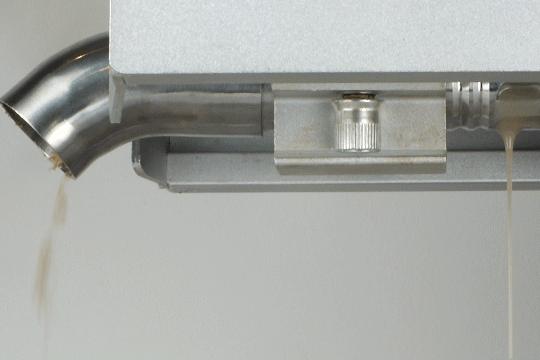 小小的芝麻，为什么营养师也粉它？