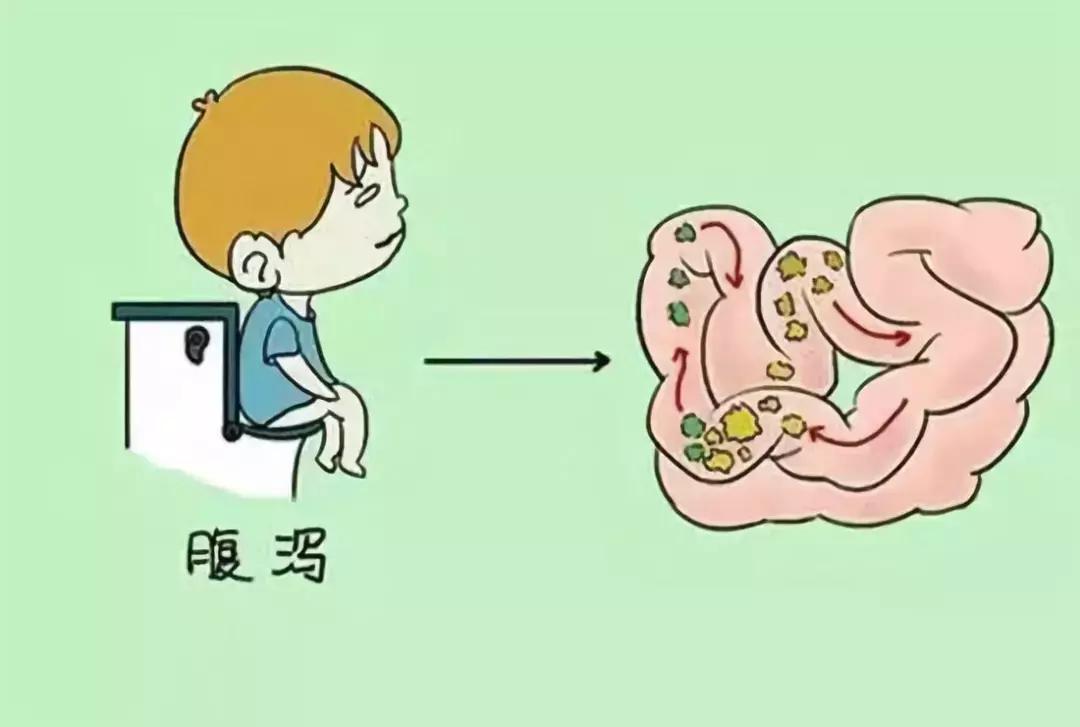 母婴健康系统有哪些,母婴生长发育