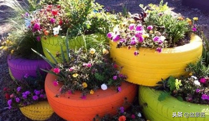 废物改造花盆绿植,旧物改造吊兰花盆