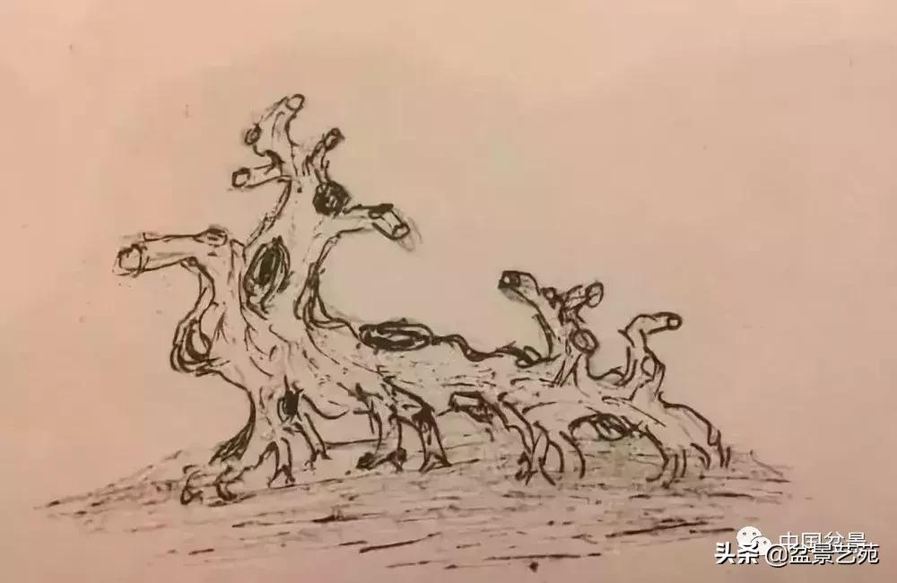 鏈存爲寰楀鐩嗘櫙,椤剁骇鏈存爲鐩嗘櫙娆ｈ祻