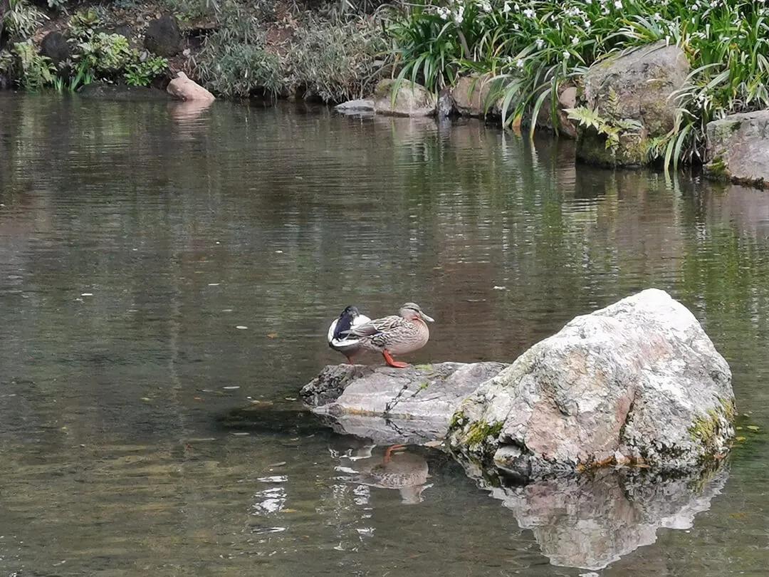 鎱㈣揪涓栫晫,鎱㈡父鍏ㄤ笘鐣岀浜屽鍦ㄧ嚎瑙傜湅