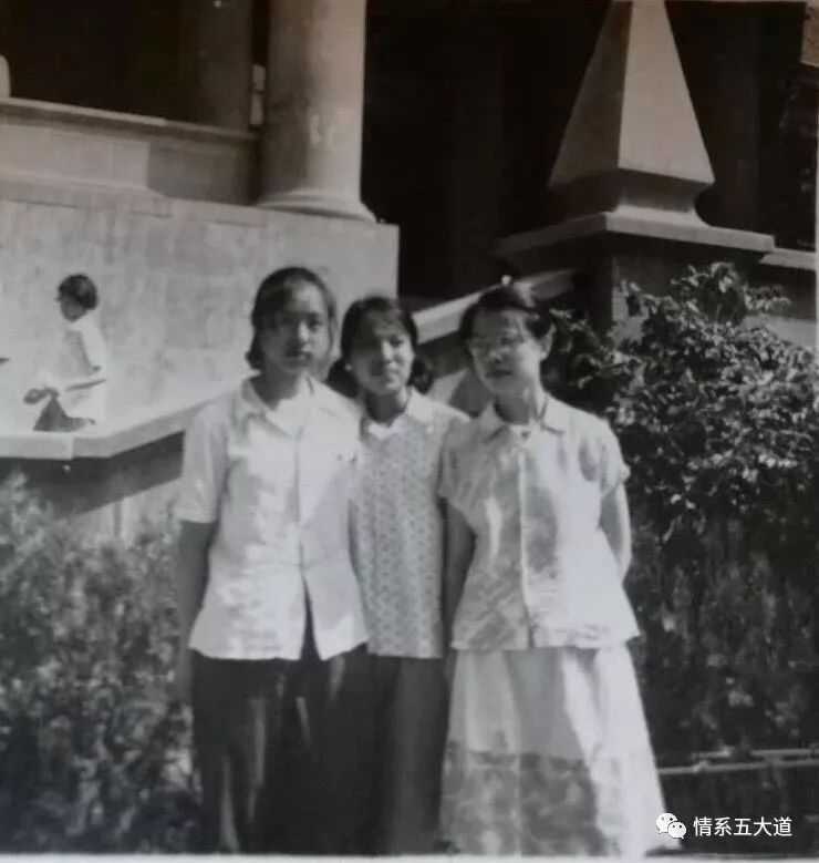 我的母校天津,我的母校20周年