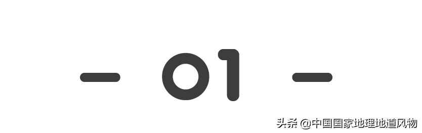 一个粘豆包，粘住了整个东三省